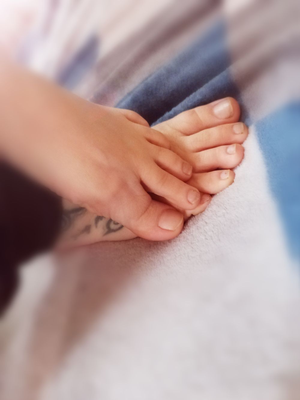 twilightserenity OnlyFans profile picture