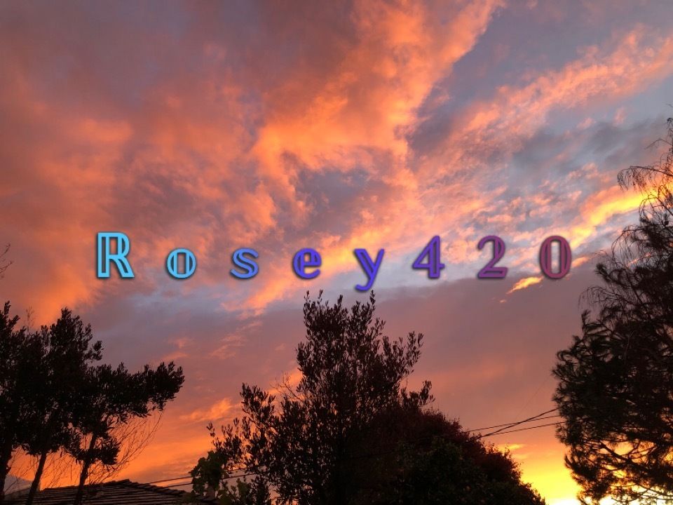 mommyrosey420 OnlyFans profile picture