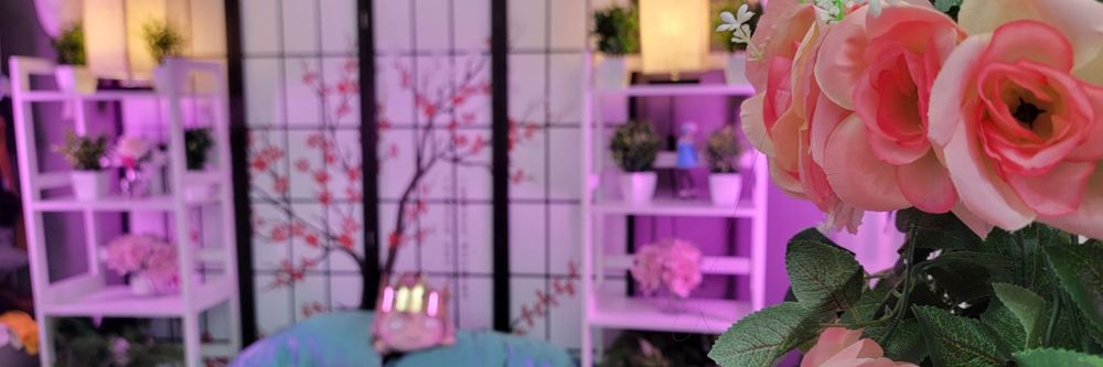 nano_nano OnlyFans - Stats, Graphs, Photos & Profile Comparisons