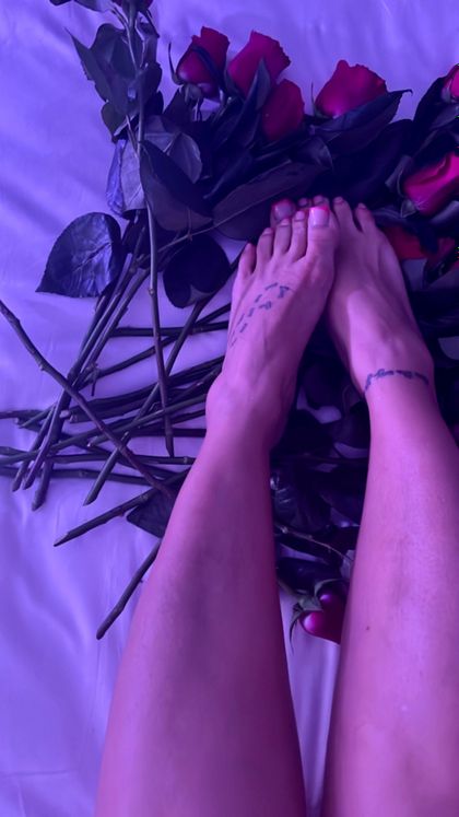 hollytoes4u OnlyFans picture