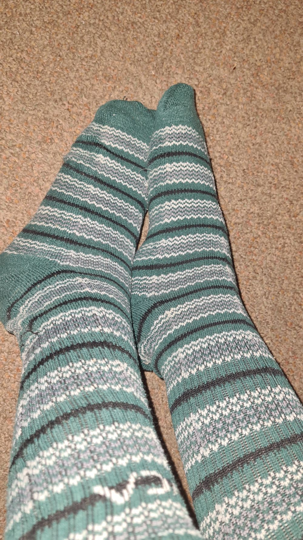 beeeesfeet OnlyFans profile picture