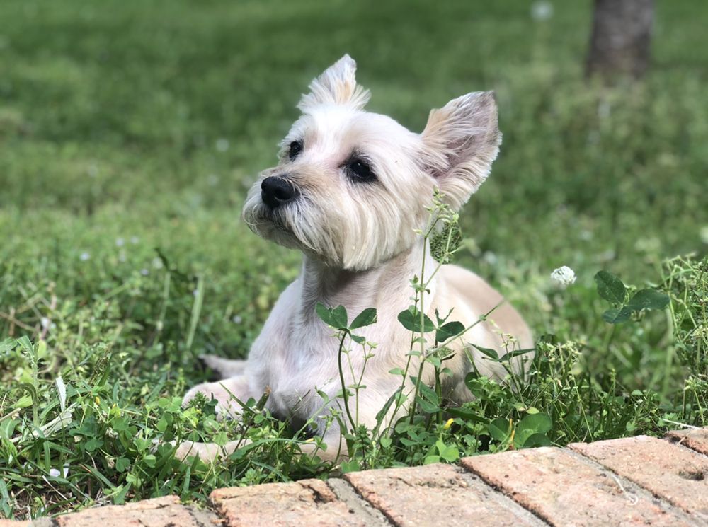 kirbyloves OnlyFans profile picture