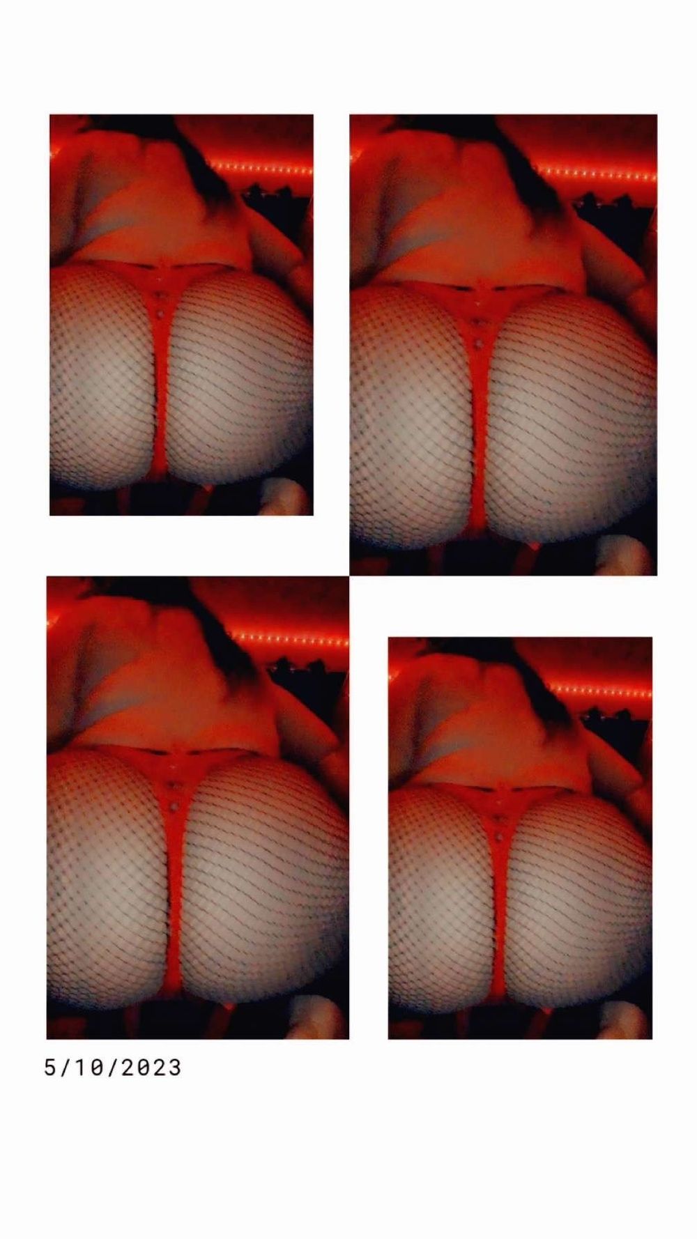 pyt_leo OnlyFans profile picture
