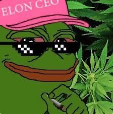 420BBCPOV