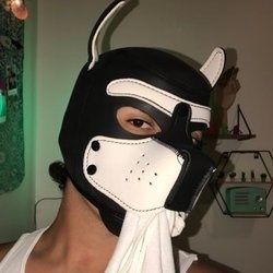 pupstar4u OnlyFans picture