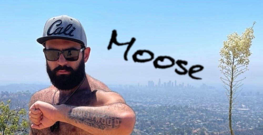 tattedmoose86 OnlyFans profile picture