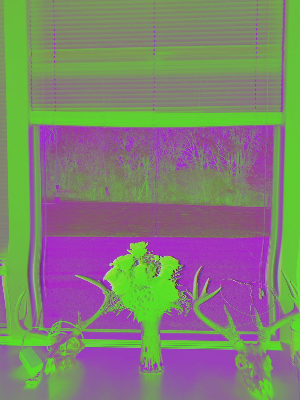 rainbowxeater OnlyFans profile picture