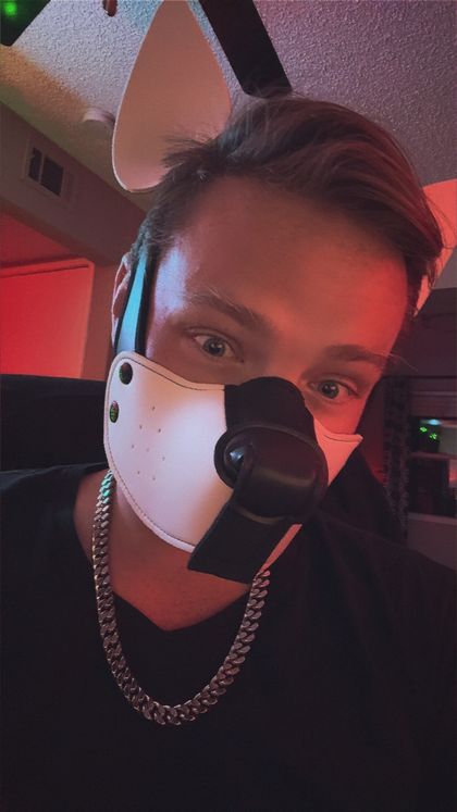 thestraypupp OnlyFans picture