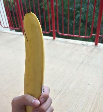 Big Asian Dick