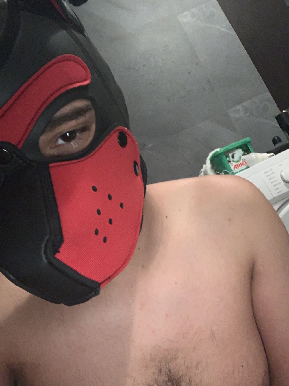 pup101 OnlyFans profile picture