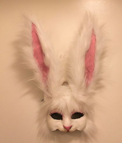 fetichrabbit OnlyFans picture