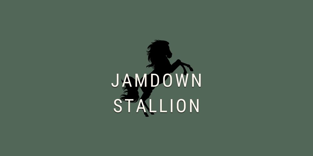 jamdownstallionvids OnlyFans profile picture