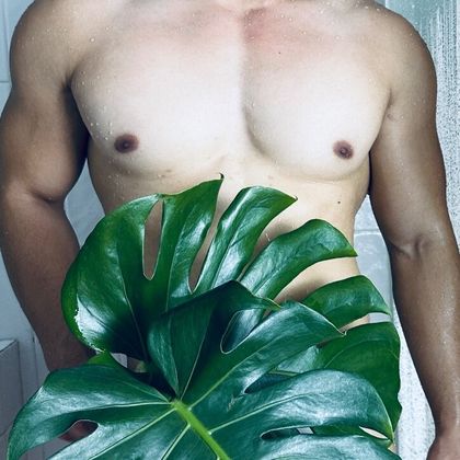 seetreebody OnlyFans picture