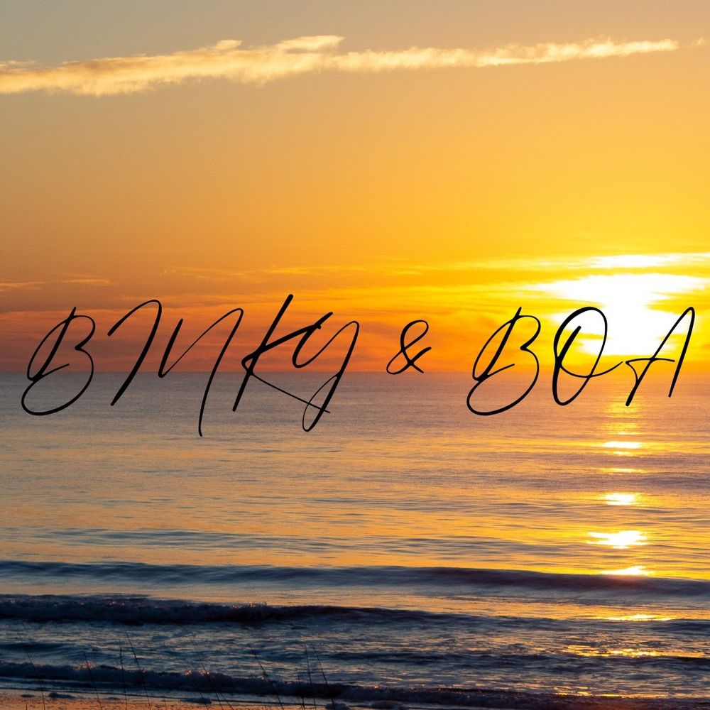 binkyboa OnlyFans profile picture
