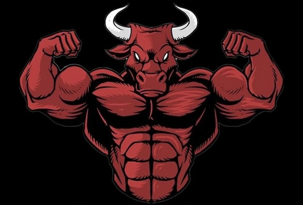 musclebull1 OnlyFans profile picture