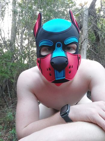 Pup Rascal