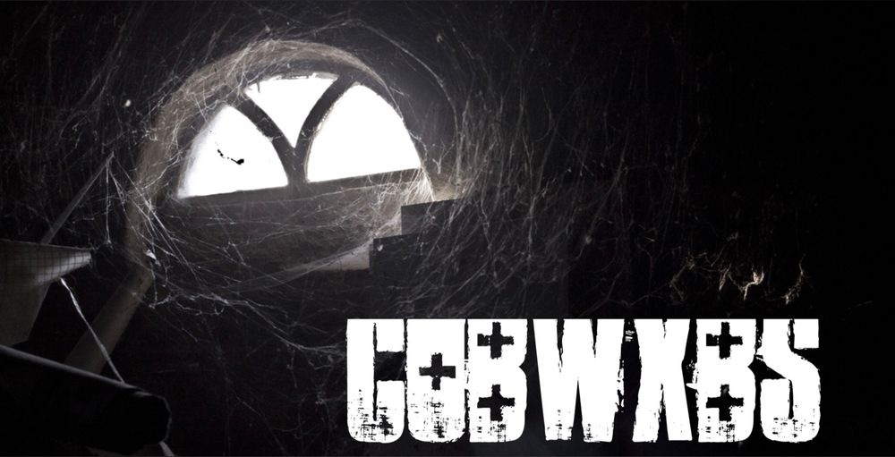 cobwxbs OnlyFans profile picture