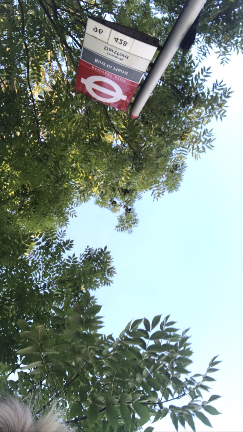 elliesmithyy OnlyFans profile picture