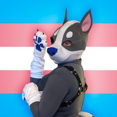 donutpupper OnlyFans picture