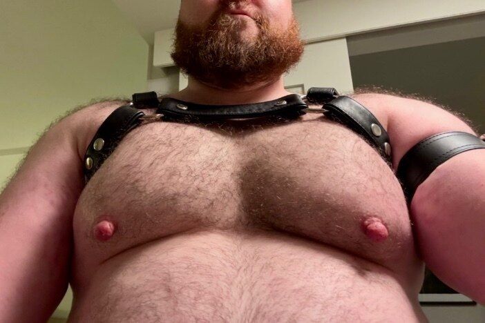 moosematerial OnlyFans profile picture