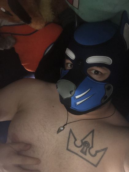 puckthepup01 OnlyFans picture