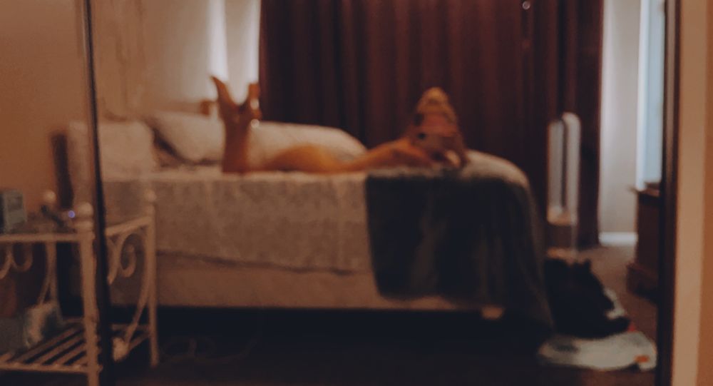 angalina_cakes OnlyFans profile picture