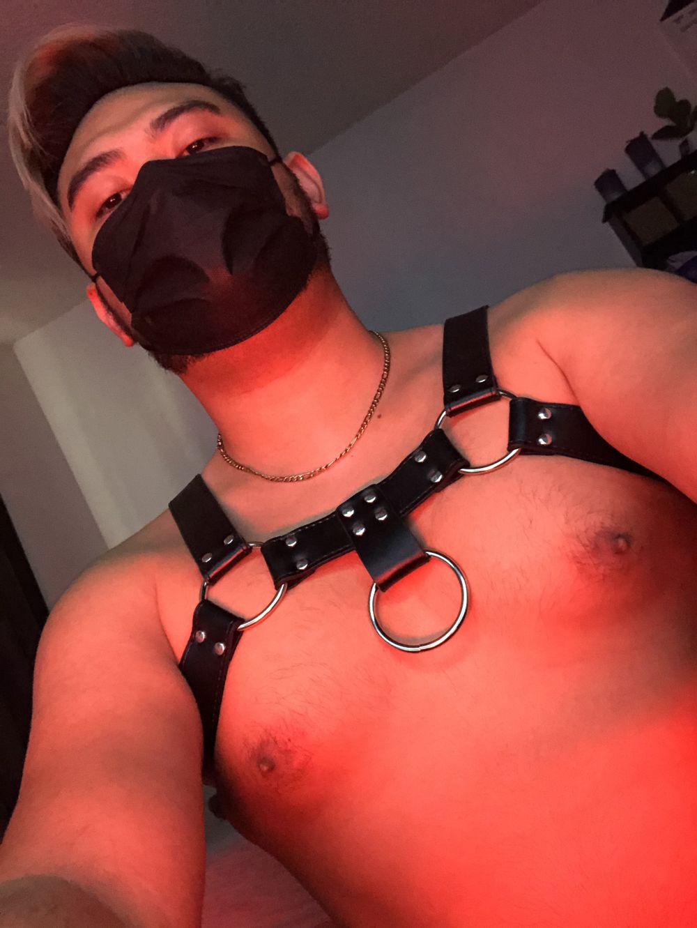 mask_harness_nips OnlyFans profile picture