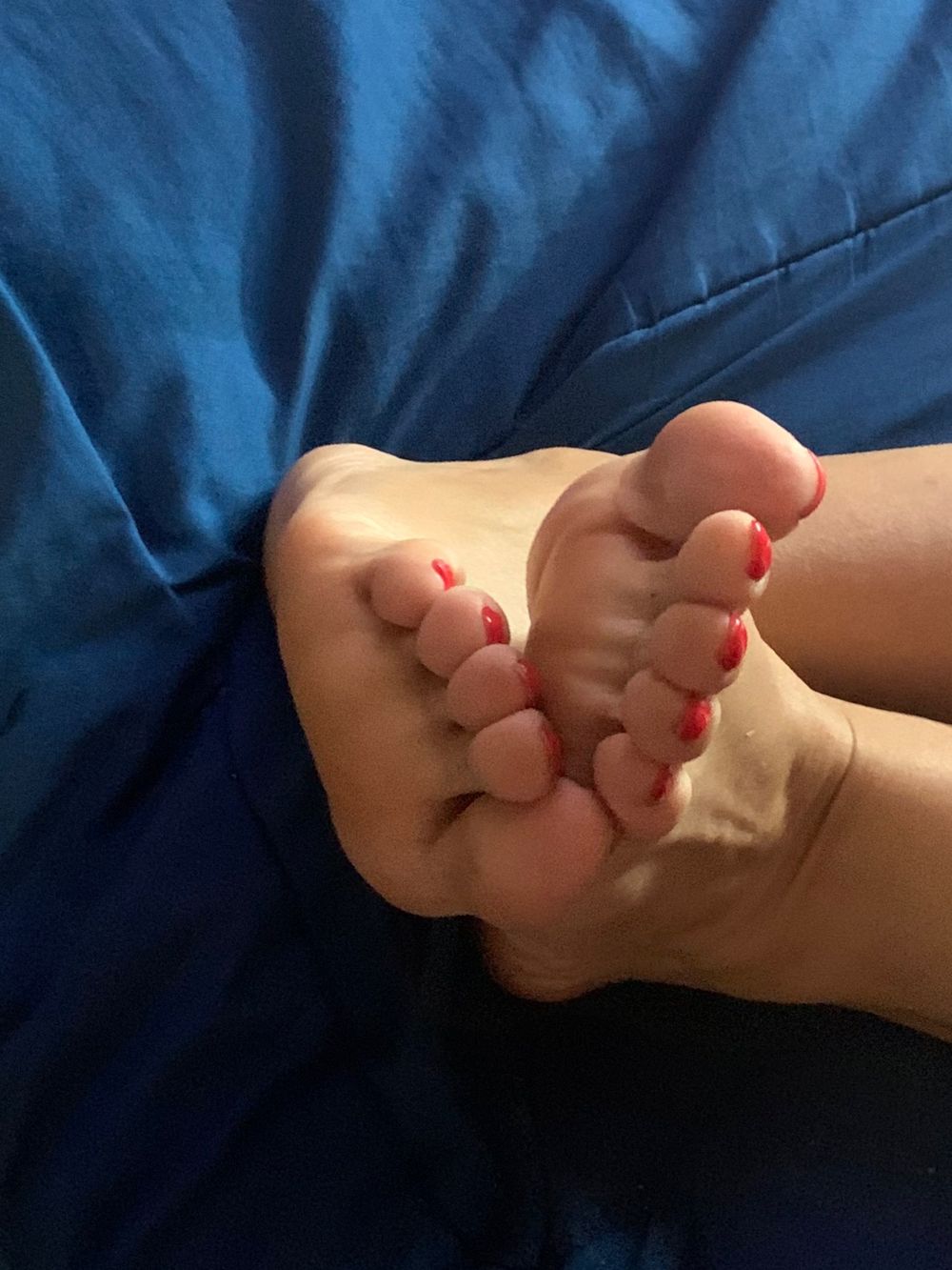 kittygafeet OnlyFans profile picture
