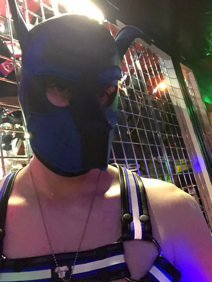 pupbuoy OnlyFans picture