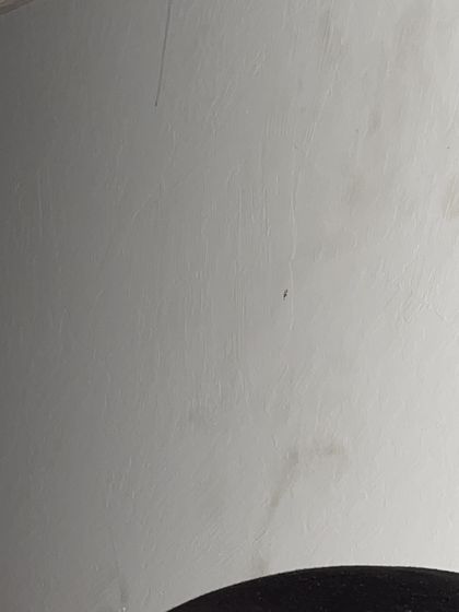 asheralba OnlyFans picture