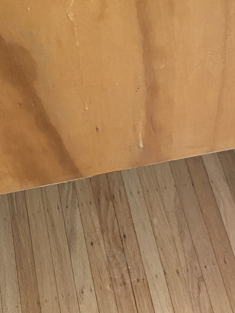 gloryholedump OnlyFans profile picture