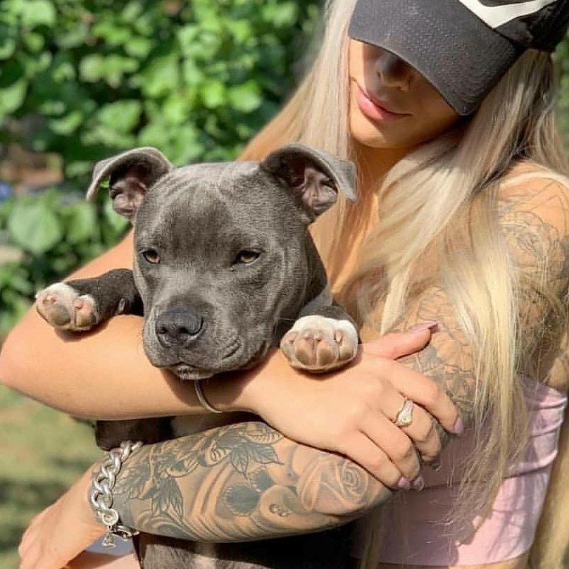 angelika02 OnlyFans profile picture