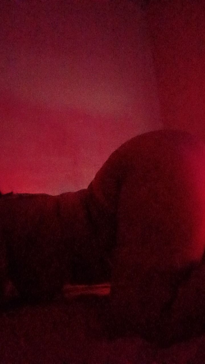 katana0102 OnlyFans profile picture