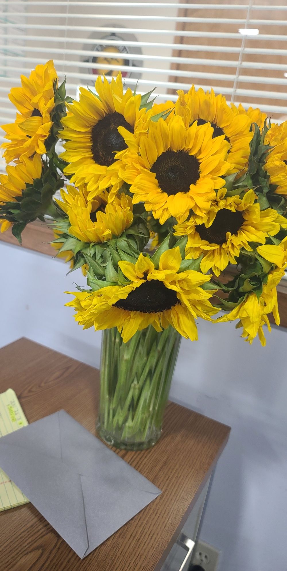 littlesunflower2244 OnlyFans profile picture