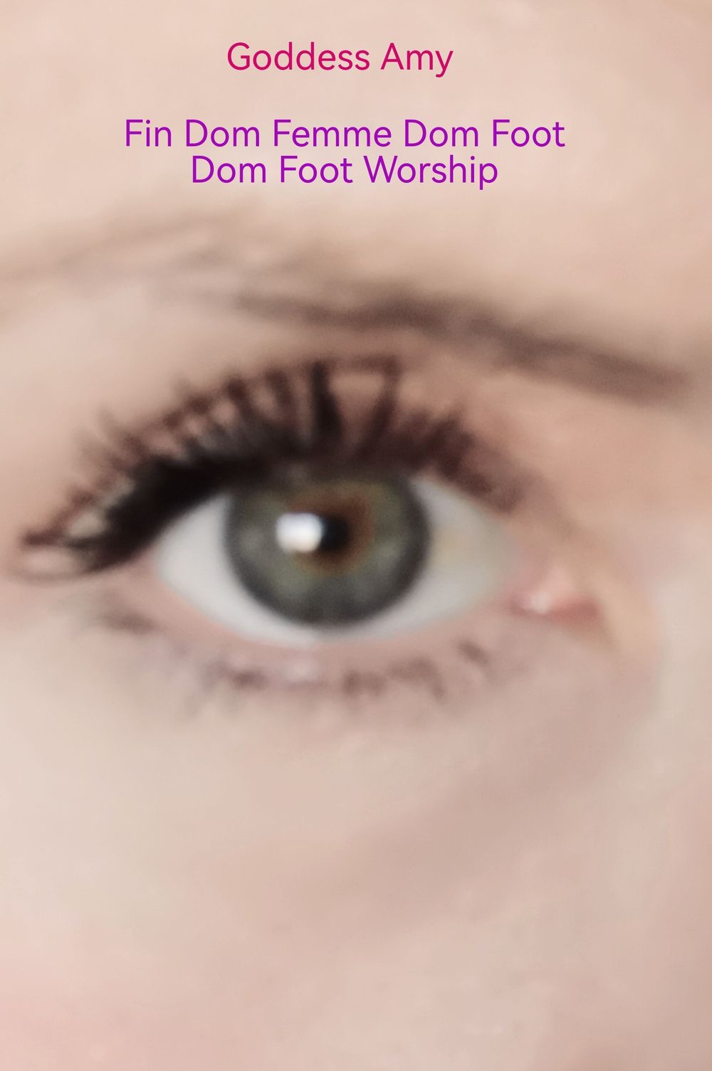 missplayfeet OnlyFans profile picture