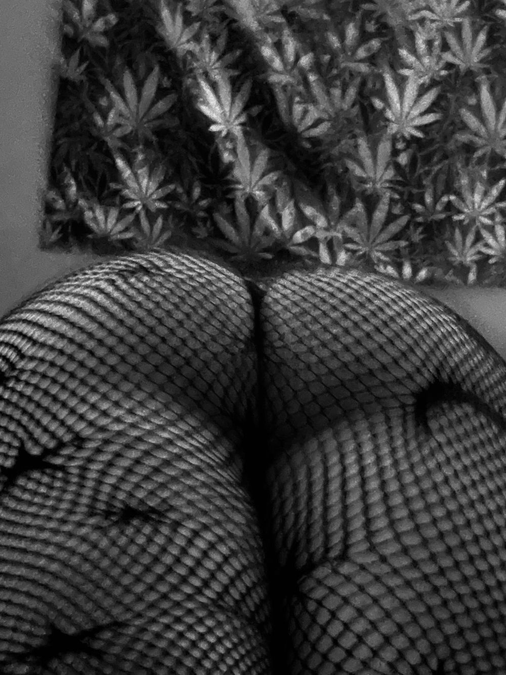 breewild OnlyFans profile picture