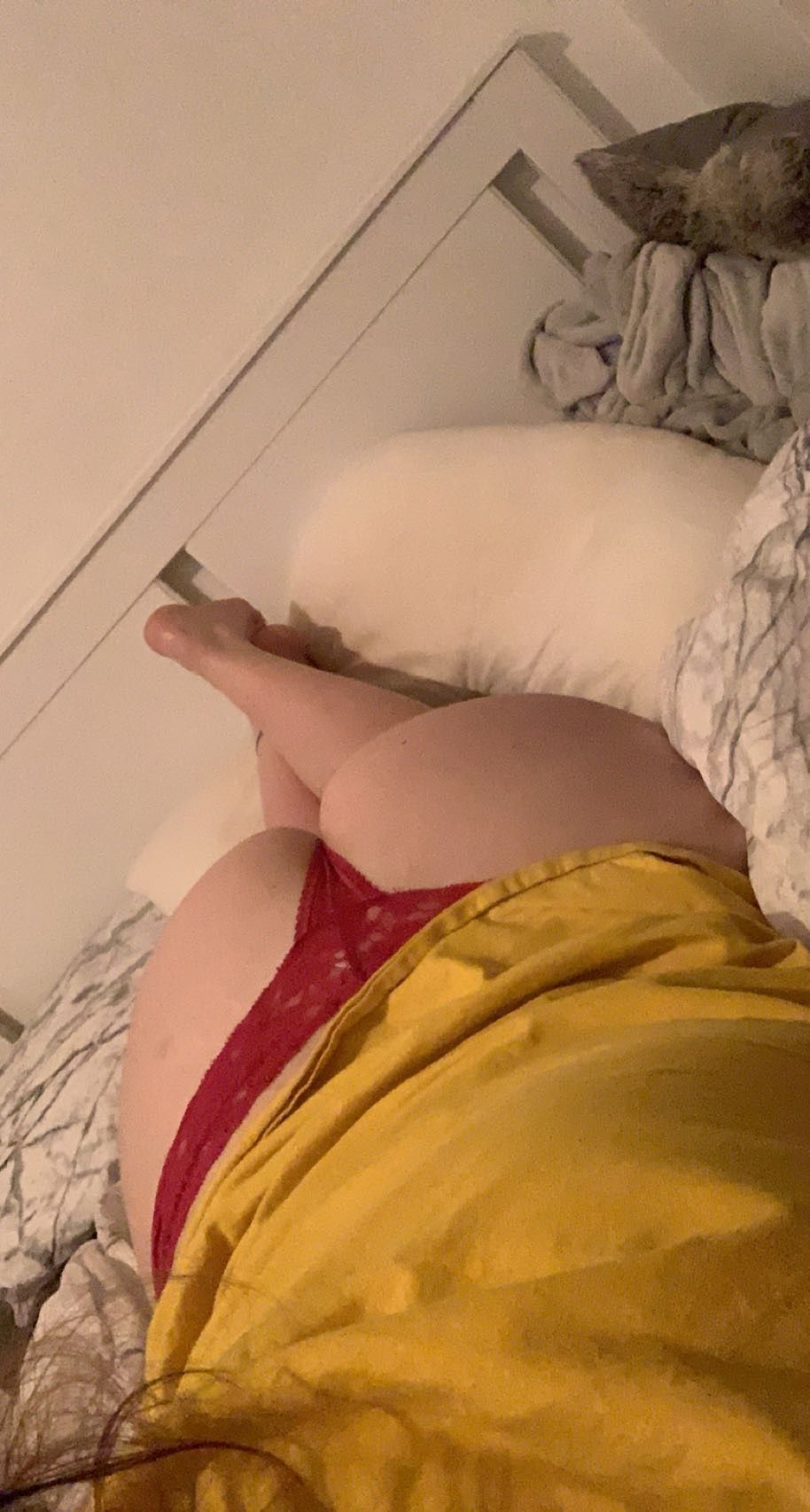 sdty98 OnlyFans profile picture