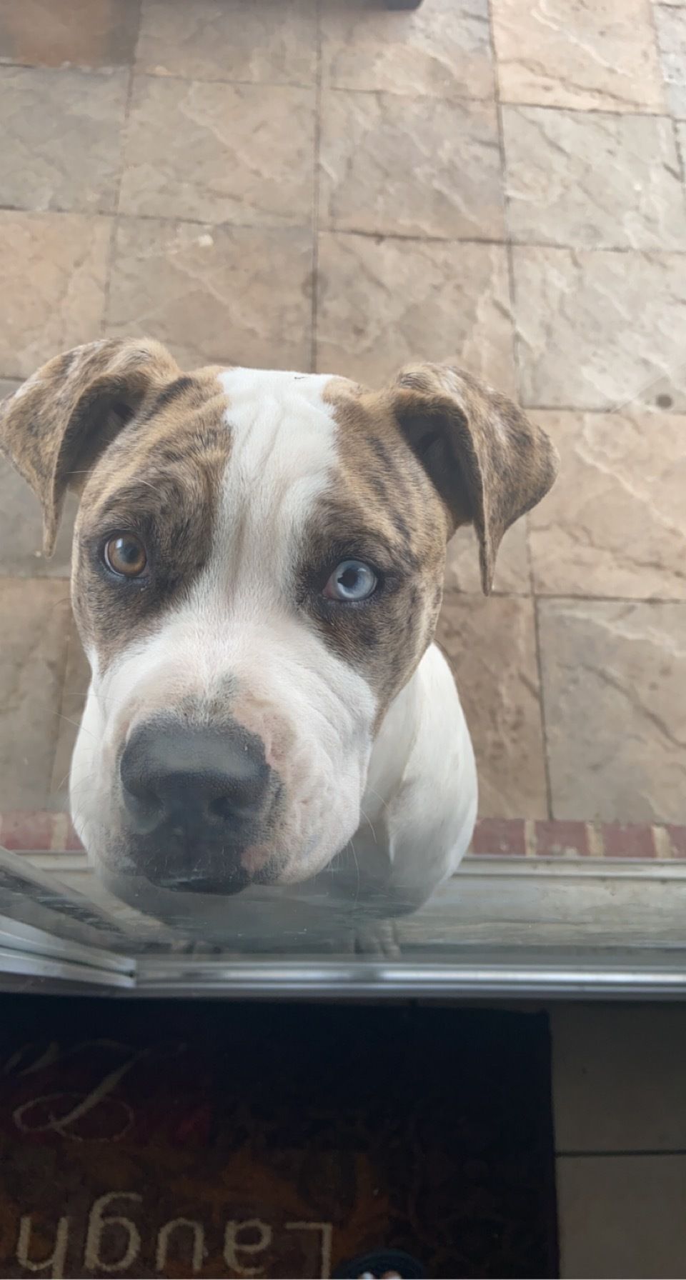 geehoneyy OnlyFans profile picture