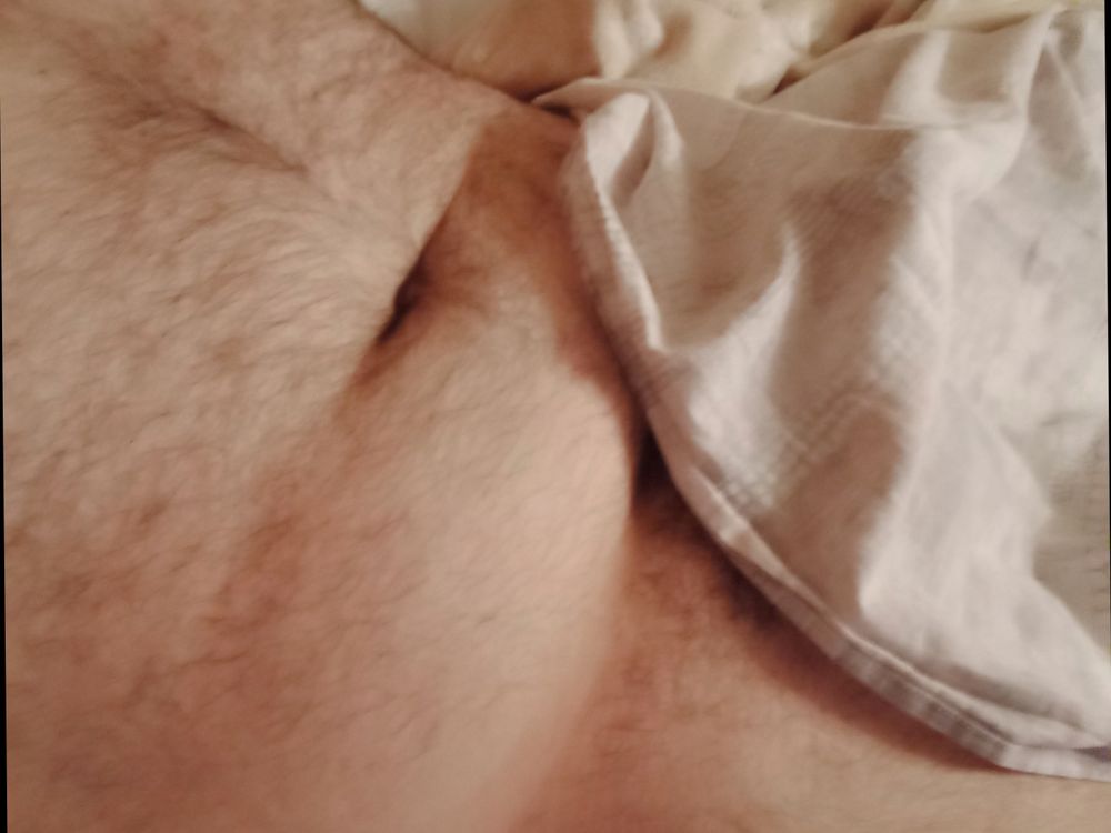 rabarbarian OnlyFans profile picture