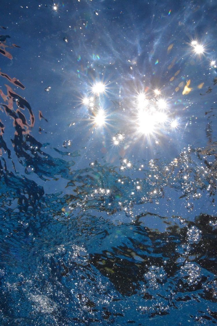 sea.enchantress OnlyFans profile picture