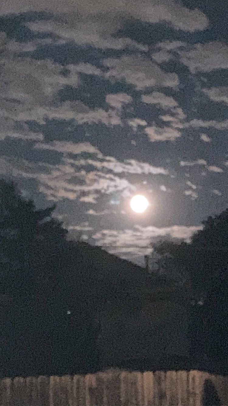 witchbusiness OnlyFans profile picture