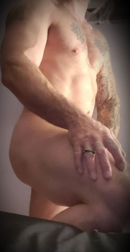 kimspet88 OnlyFans picture