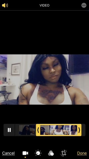 tscocoalexis OnlyFans profile picture