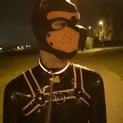 pup_qu1nn OnlyFans picture