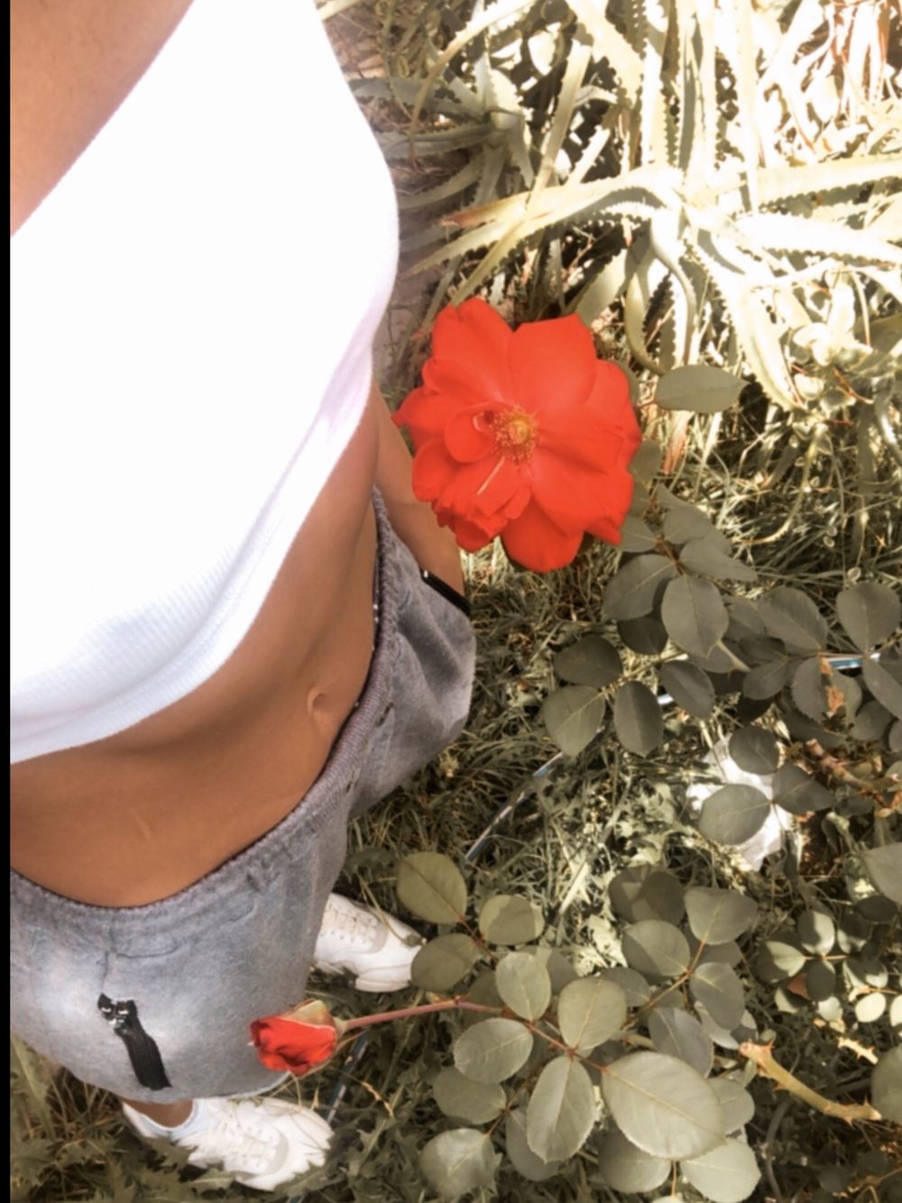 marmagic.arg OnlyFans profile picture