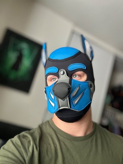 pup.ronin OnlyFans picture