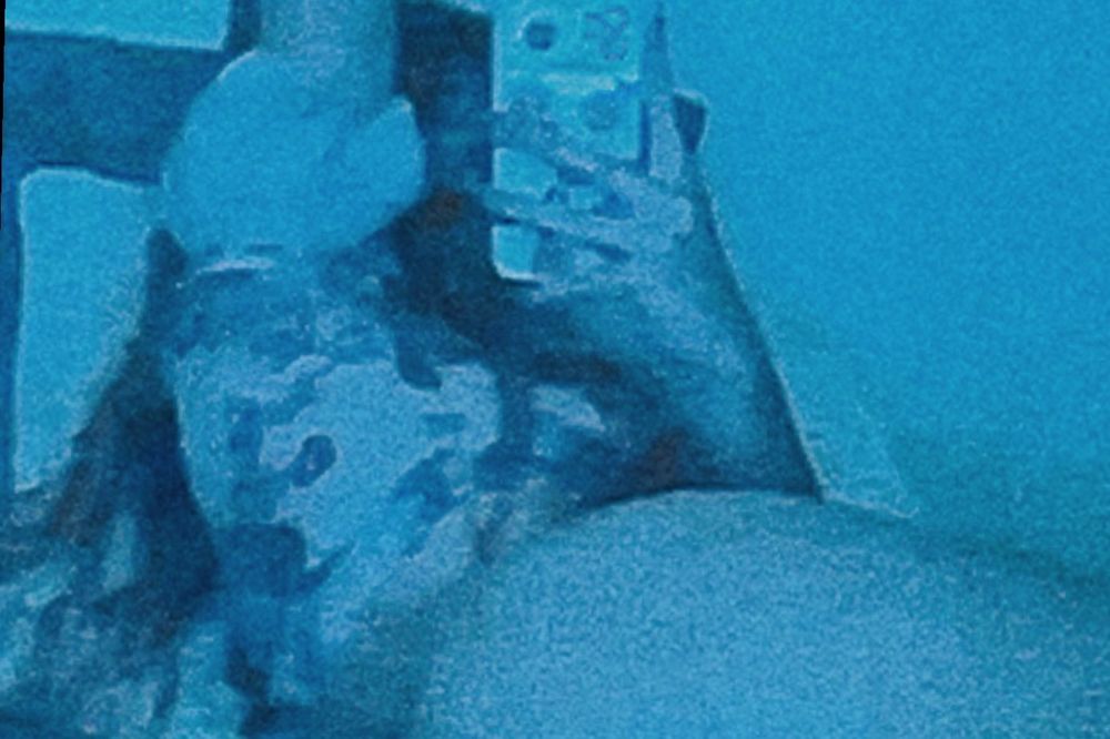 wthbells OnlyFans profile picture