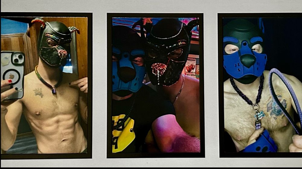 pupranger_channse22 OnlyFans profile picture