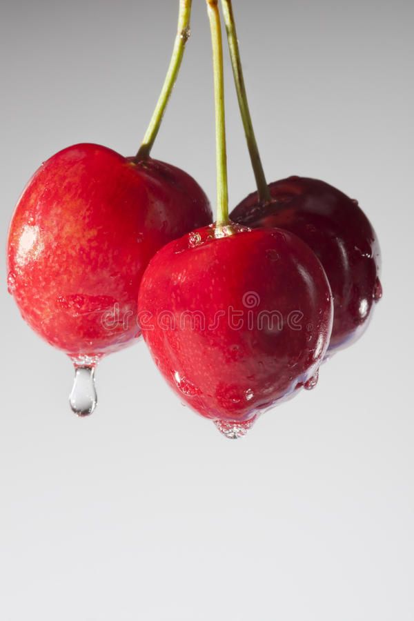 cherrydrip2 OnlyFans profile picture