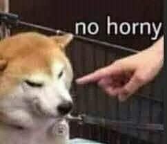 nestsrls OnlyFans profile picture